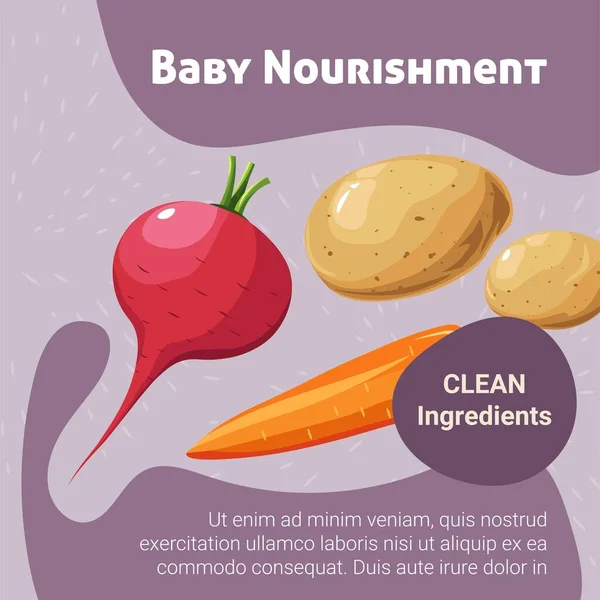 Temiz Malzemeler Bebek Beslenmesi Için Bitki Bazlı Yemek Kursları Lezzetli — Stok Vektör