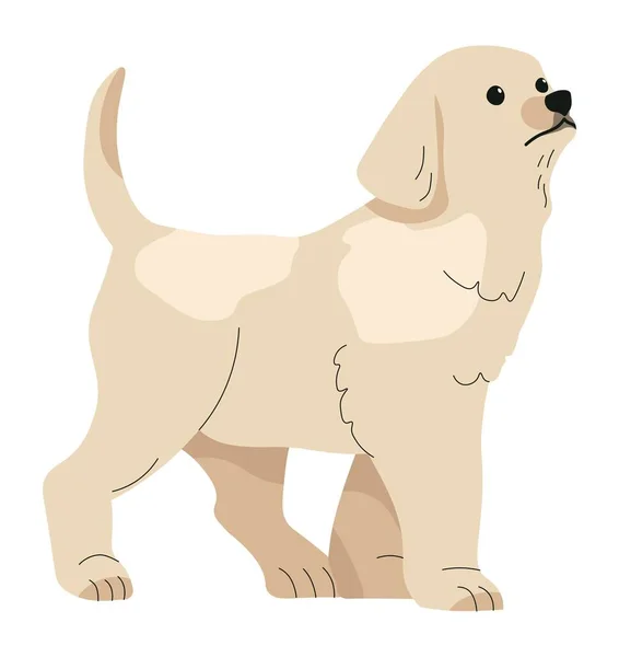 Ciekawy Szczeniak Labrador Odizolowany Szczeniaczek Zabawnym Nastrojem Psy Domowe Zwierzątko — Wektor stockowy