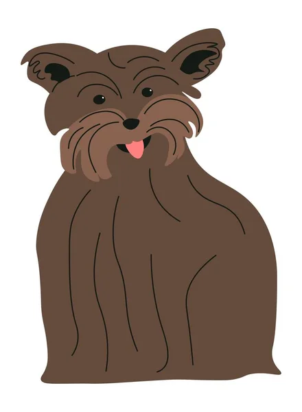 Canine Animal Domestic Pet Lapdog Portrait Small Puppy Furry Coat — Stockový vektor