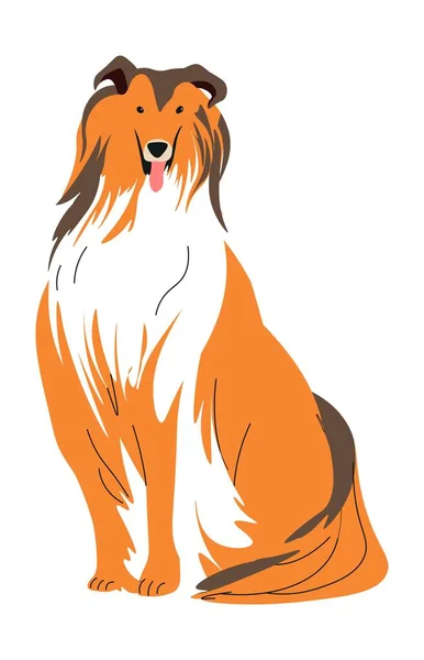 Собачье Животное Длинными Волосами Изолированный Щенок Колли Взрослая Собака Домашний — стоковый вектор