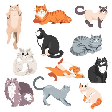 Kedi hayvanlar, yetişkin kediler ve kürklü ve çizgili kedi yavruları. Kediciğin, Pers kedisinin ve siyam kedisinin izole portreleri. Yaygın çeşitlilik ve çeşitlilik, hayvanat bahçesi ya da park. Düz biçimli vektör