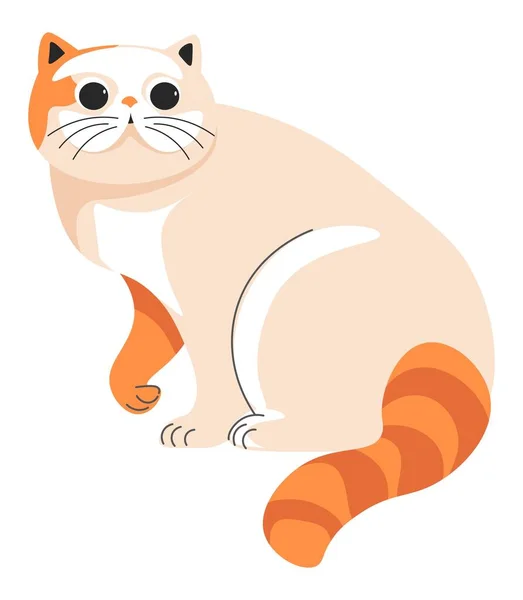Kürklü Kısa Bacaklı Kedi Yavrusunun Kedi Portresi Komik Ağızlıklı Tek — Stok Vektör