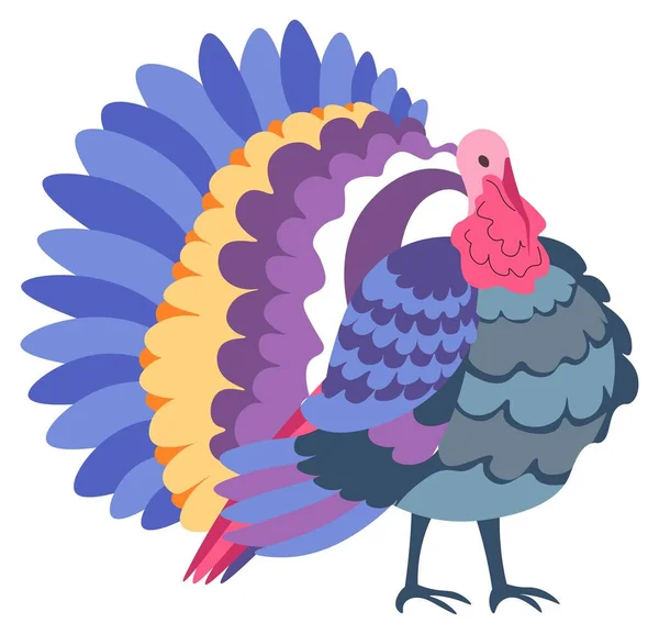 Farm Animal Isolated Avian Creature Colorful Lush Plumage Feathers Turkey — Stock Vector