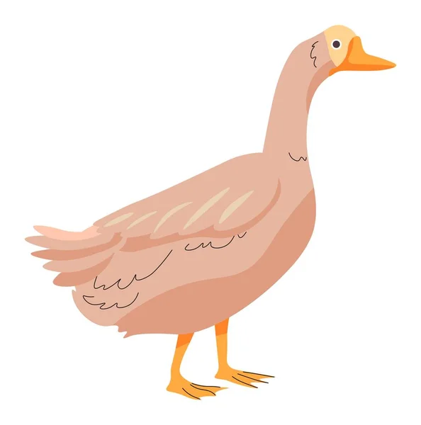 Farm Animal Isolated Avian Creature Plumage Beak Isolated Goose Poultry — ストックベクタ