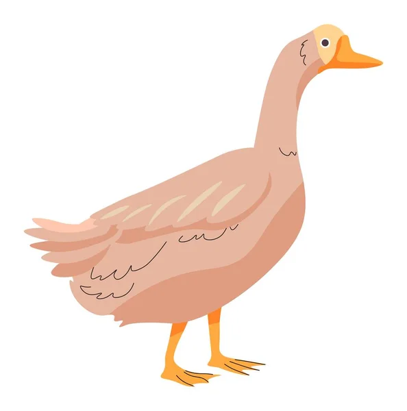 Animal Granja Criatura Aviar Aislada Con Plumaje Pico Ganso Aislado — Vector de stock