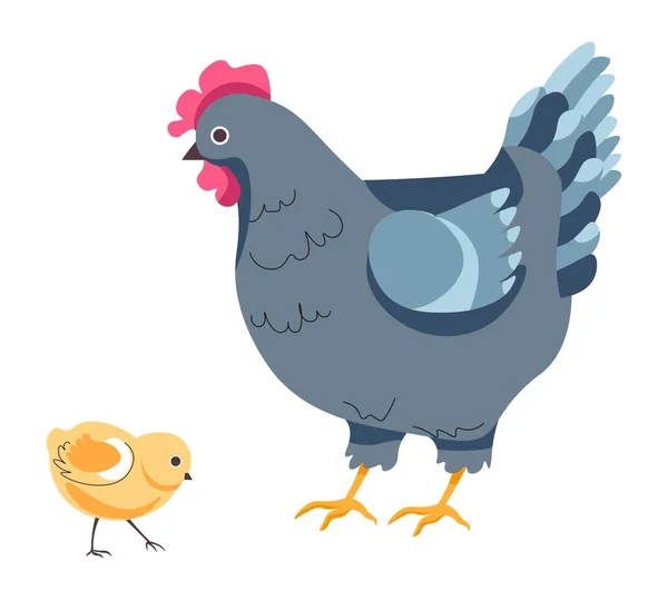 Вылупляющаяся Курица Мелкий Цыпленок Изолированное Разведение Цыплят Выращивание Ферме Сельское — стоковый вектор