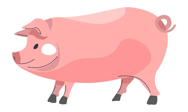Livestock Domestic Animals Farming Agriculture Fauna Wildlife Breeding Pigs Swines — Stock Vector