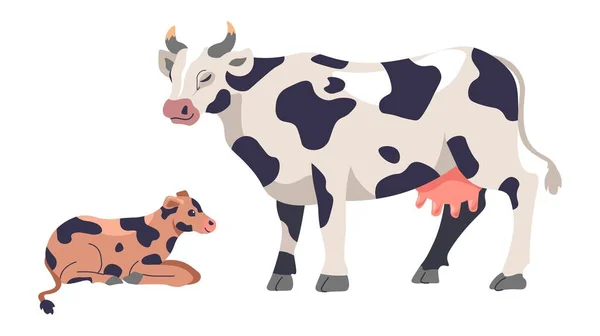 Agriculture Livestock Breeding Cattle Grown Cow Small Calf Ranch Farmland — Stockvektor