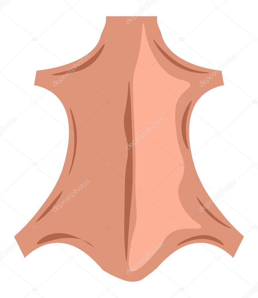 Natural animal skin, isolated genuine leather used for clothes and tailoring. Organic elements with smooth texture for furniture making, fashion and design. Vector in flat style illustration