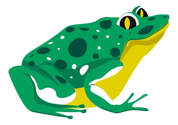 Frog Toad Exotic Animals Wildlife Nature Wilderness Isolated Icon Amphibians — Vector de stock