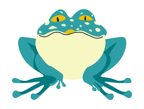 Aquatic Animal Isolated Amphibian Wildlife Nature Biodiversity Toad Frog Spots — Vector de stock
