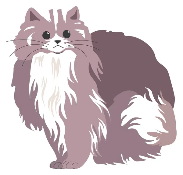 Portrait Furry Kitten Long Whiskers Hair Isolated Cat Purebred Feline — 图库矢量图片