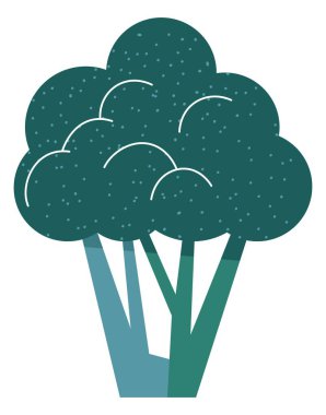 Yemek pişirmek ve yemek yemek için doğal ve organik malzemeler. Sağlıklı beslenme ve beslenme, vitaminli brokoli yiyecekler ve mikroelementler. Lezzetli sebzeler, izole edilmiş çiğ sebzeler. Düz biçimli vektör