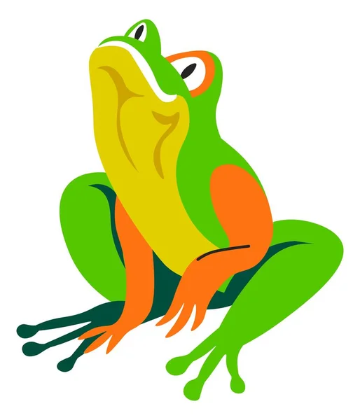 Egzotyczne Zwierzęta Dzika Przyroda Odizolowana Żaba Tropikalna Dziki Gad Kolorowym — Wektor stockowy