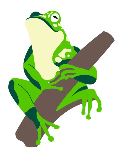 Exotic Animal Wildlife Wilderness Isolated Frog Sitting Branch Forest Fauna — Vector de stock