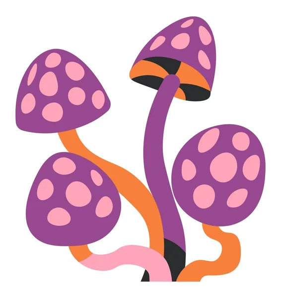Amanita Poisonous Mushrooms Cause Intoxication Hallucinations Isolated Fungus Inedible Ingredient — ストックベクタ