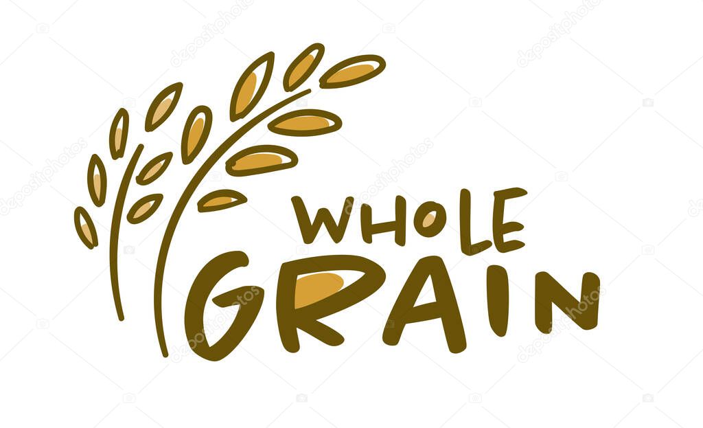 Wheat spikelets, isolated whole grain logotype for products or bakery shop. Agriculture and ecological, organic and natural ingredients for cooking and preparing flour food. Vector in flat style