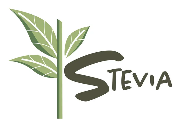 Stevia Sweetener Vector Logo Template Green Leaf Sugar Natural Substitute — Archivo Imágenes Vectoriales