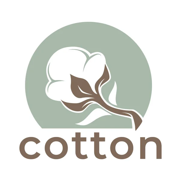Bavlna Čistý Ekologický Produkt Vektorový Textilní Průmysl Pole Rostlin Emblém — Stockový vektor