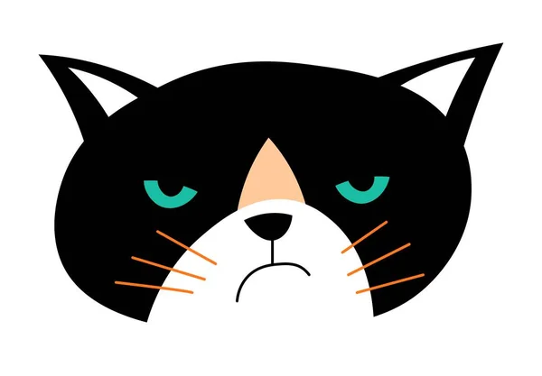 Mrzutá Kočka Izolovaný Portrét Kreslené Postavy Rozzlobeným Čenichem Smutný Nebo — Stockový vektor