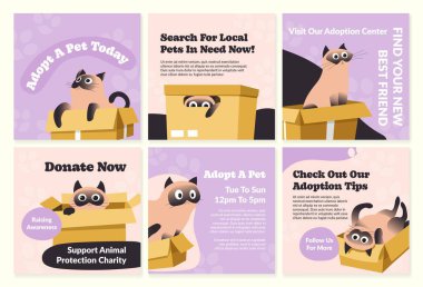 Adoption center template social media ad design. Web page set with adopt pet concept, vector illustration. Cat sitting in box, find a new friend, visit and support shelter sign at network collection
