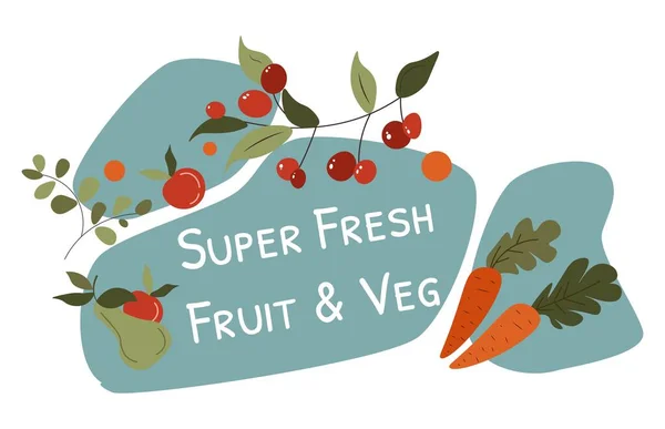 Organic Natural Products Isolated Super Fresh Fruits Vegetables Farm Cranberries — Vetor de Stock