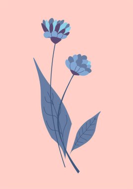 Floral bouquet with tender petals and blooming floral botany. Isolated composition or arrangement for decor, gift for holiday. Wildflower for sale, design of greeting card. Vector in flat style