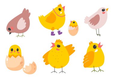 Small chicken, isolated farm animals. Domestic pets and birds. Little newborn chick sitting in eggshell, hen wearing boots and necklace. Symbol of easter holiday in spring. Vector in flat style