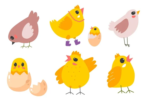 Small Chicken Isolated Farm Animals Domestic Pets Birds Little Newborn — Stock vektor