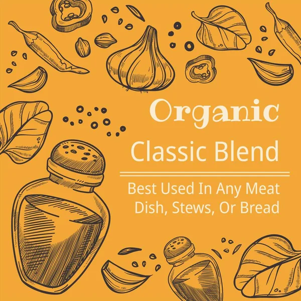Classic Blend Spices Organic Seasoning Dishes Food Best Used Any —  Vetores de Stock