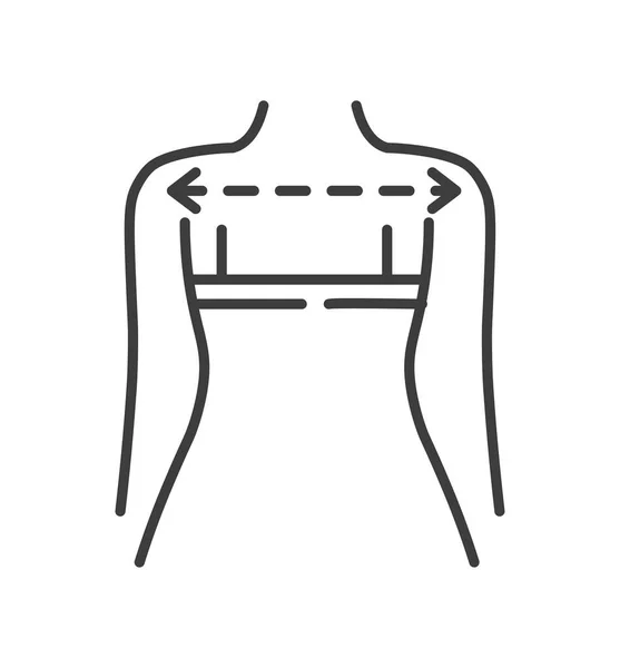 Clothes dimensions and measurements of women shoulders. Bra or apparel