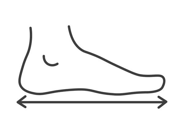Measurements Dimensions Human Foot Clothes Shoes Size Chart Proportions Right — Image vectorielle