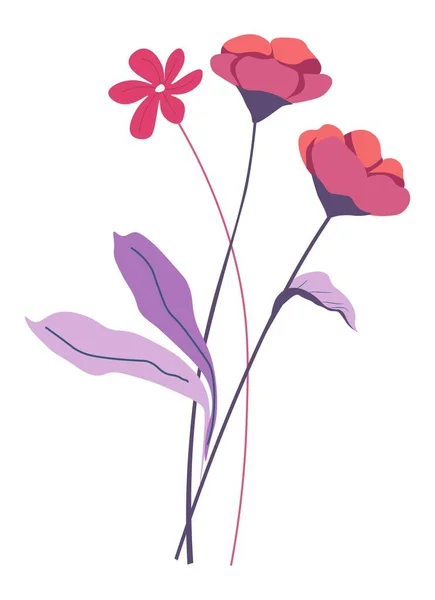 Poppy Daisies Floral Composition Bouquet Wildflowers Stems Leaves Decoration Adornment — Vetor de Stock