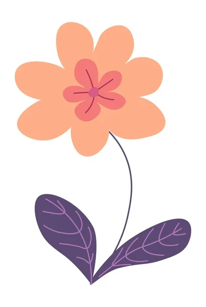 Flower Blossom Isolated Blooming Wildflower Flourishing Petals Stem Leaves Bouquet — Vector de stock
