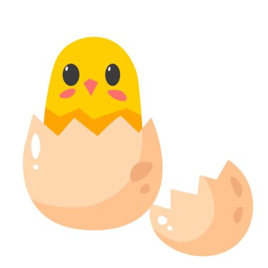Newborn chick sitting in eggshell, isolated cute character farming animals. Avian creature, small chicken. Symbol of easter holiday, celebration and warm seasons. Vector in flat style illustration