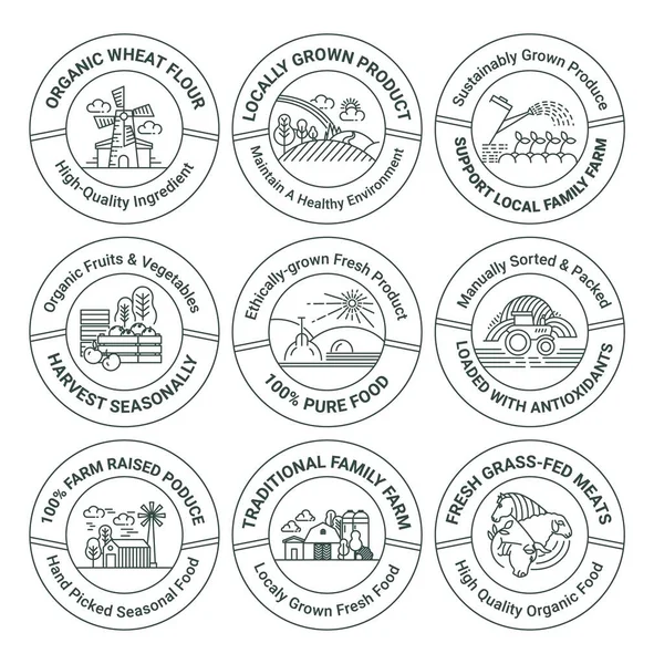 Sticker Tag Set Organic Locally Grown Product Label Design Collection — Stockvektor