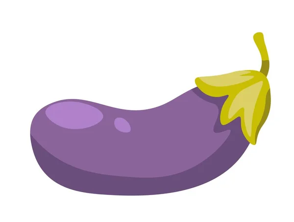 Eggplant Vegetables Isolated Aubergine Veggies Balanced Dieting Nutrition Tasty Raw — Stock Vector