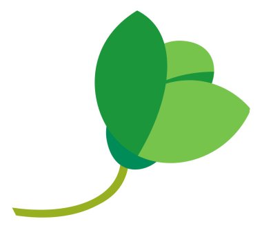 Doğa biyolojik çeşitliliği, çiçek süslemesi ya da yeşil yapraklar. Sapında yaprak, çiçek ya da botanik süsü var. Bitki yetiştirme, bahçıvanlık, yeşillik. Düz biçim illüstrasyonunda vektör