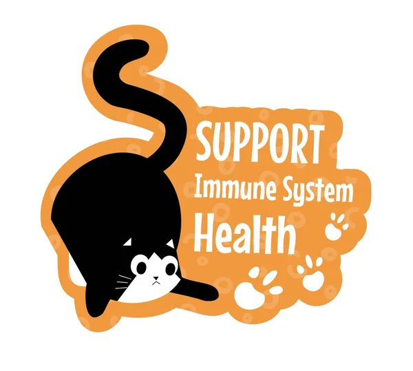 수의학 동물의 주인을 스티커 고양이의 면역계 건강을 지원하 십시오 장난기있는 — 스톡 벡터