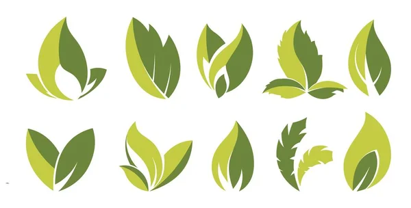 Umweltfreundliches Und Biologisches Zeichen Isoliertes Blattsymbol Oder Etikettensymbol Emblem Für — Stockvektor