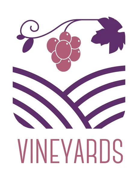 Vinification Fabrication Vin Biologique Boissons Alcoolisées Boissons Vignoble Viticole Agriculture — Image vectorielle