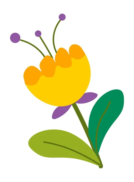 Квітка Розквіті Ізольована Рослинна Ботаніка Лист Пелюстки Стеблі Цвітіння Весни — стоковий вектор