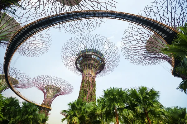 Jardim junto à baía, Singapura — Fotografia de Stock