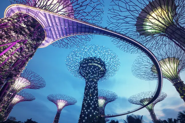 Supertree grove, Singapur Stok Resim