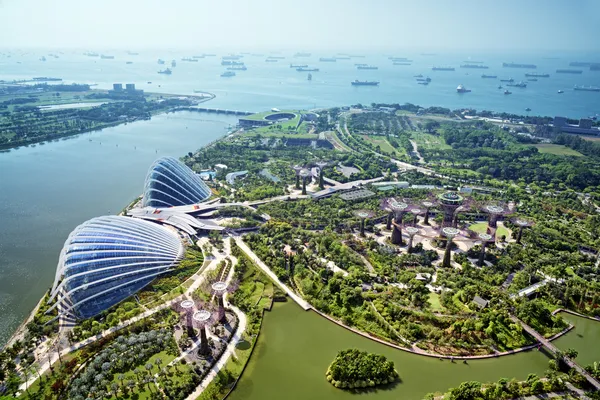 Garden by the Bay, Singapore — Stock Photo, Image
