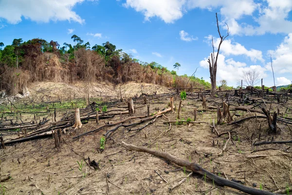 Déforestation aux Philippines Image En Vente