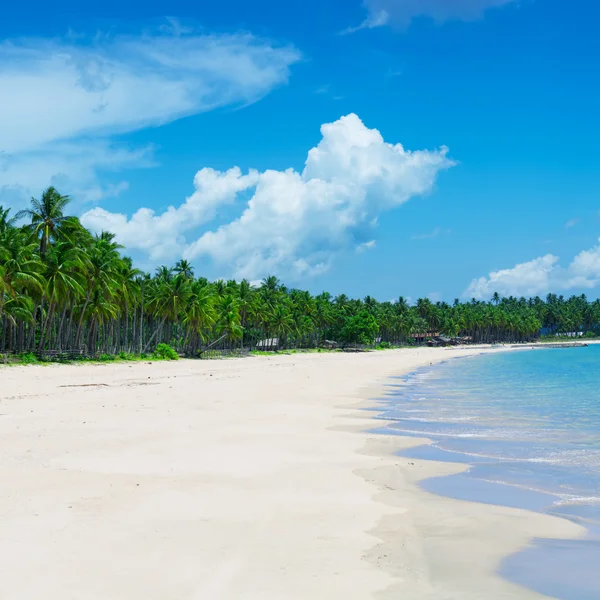 Tropischer Strand, el nido, palawan - philippinen — Stockfoto
