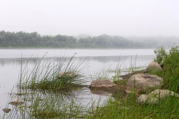 Mgła nad rzeką. wcześniej letni poranek. — Zdjęcie stockowe