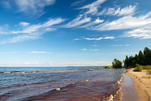 Stranden av sjön ladoga. sommar, sandig strand. — Stockfoto