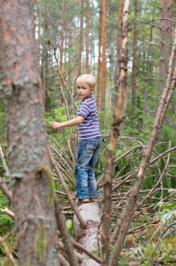 Çocuk bir düşmüş ağaç gövdesinde gizlice girer.